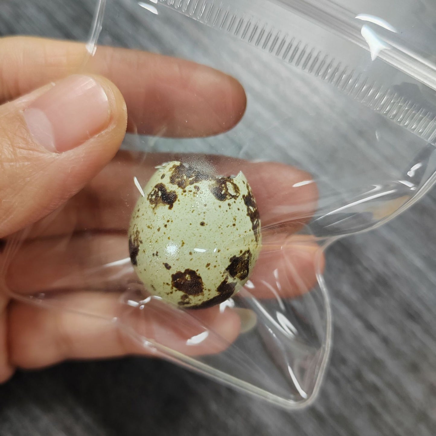 Sticky Egg Taba (With Shell)