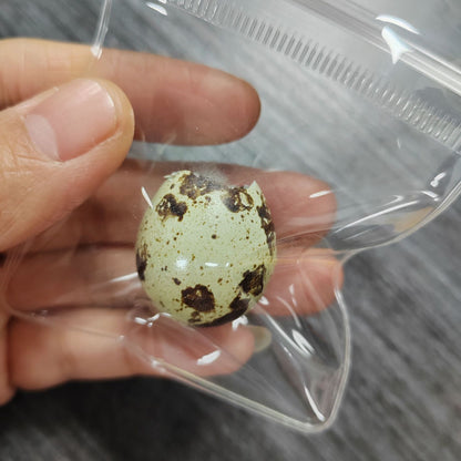 Sticky Egg Taba (With Shell)