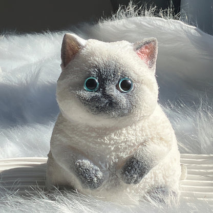 Handmade JUMBO Taba Cat