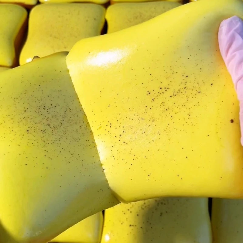 Butter Toast Squishy