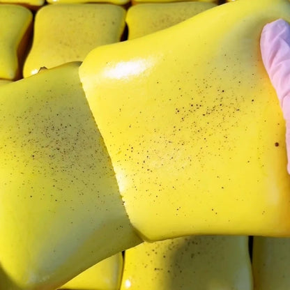 Butter Toast Squishy