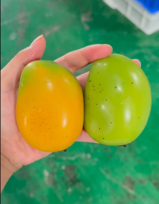 Mango & Strawberry Color Changing Squishy
