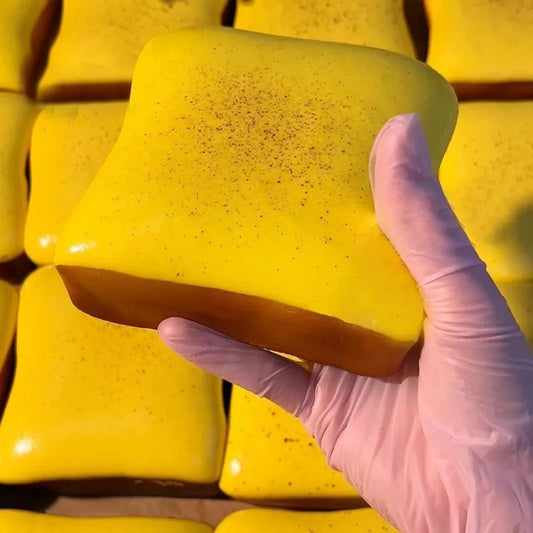 Butter Toast Squishy